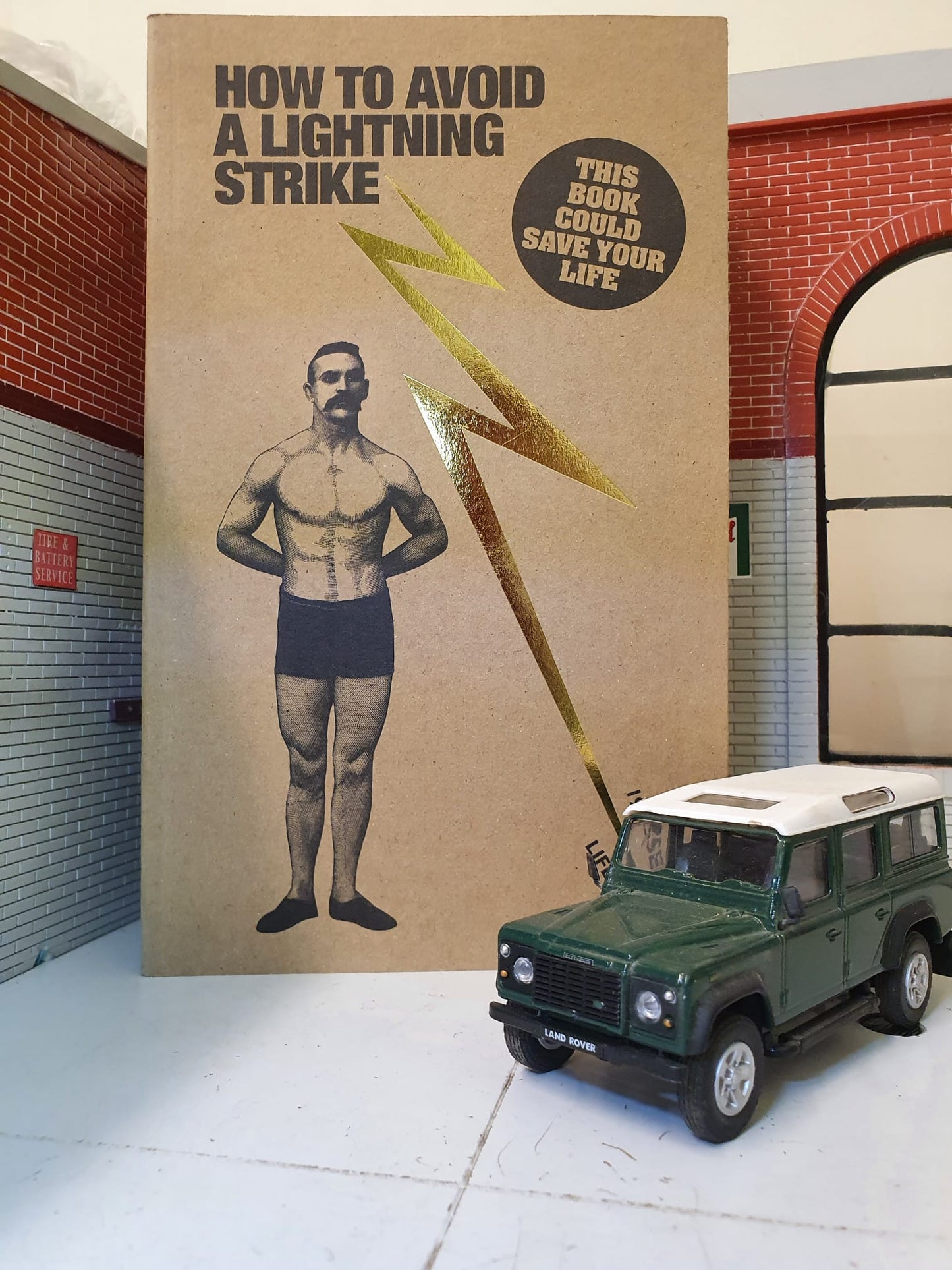 How To Avoid A Lightning Strike by Kim Davies and Nic Compton